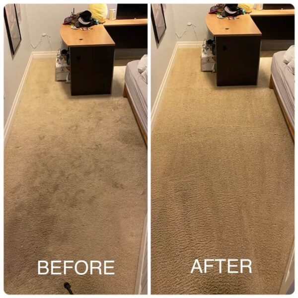 Before And After Carpet Cleaning 18