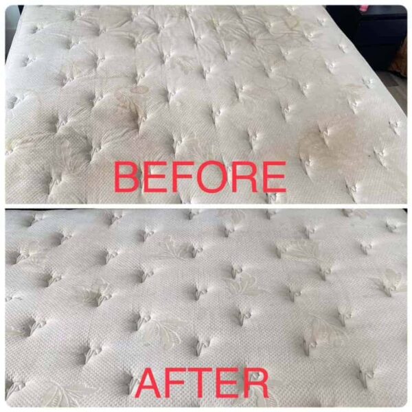 Before And After Carpet Cleaning 20